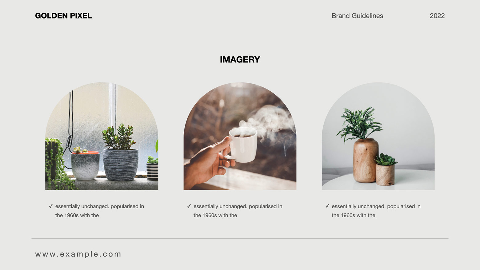 Style Scape – ProbiWash